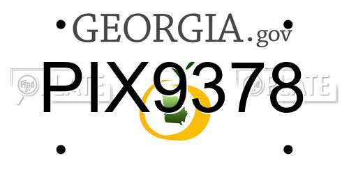 PIX9378 Georgia License Plate