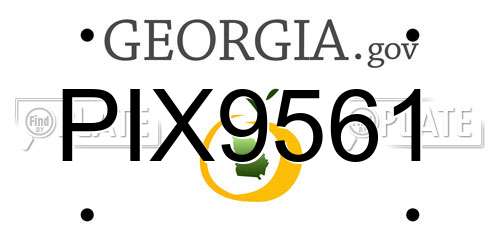 PIX9561 Georgia License Plate
