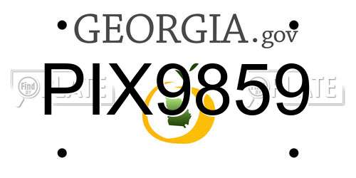 PIX9859 Georgia License Plate
