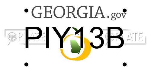 PIY13B Georgia License Plate