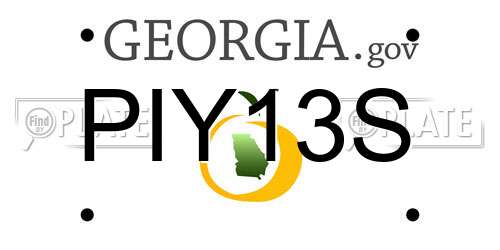 PIY13S Georgia License Plate