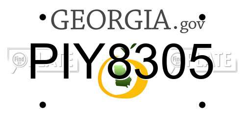 PIY8305 Georgia License Plate