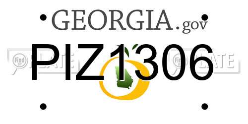 PIZ1306 Georgia License Plate