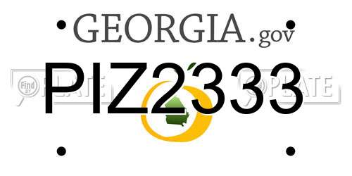 PIZ2333 Georgia License Plate