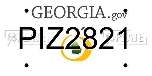 PIZ2821 Georgia License Plate
