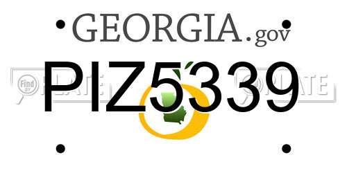 PIZ5339 Georgia License Plate
