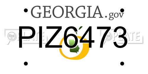 PIZ6473 Georgia License Plate