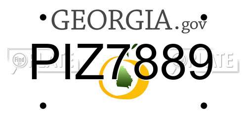 PIZ7889 Georgia License Plate