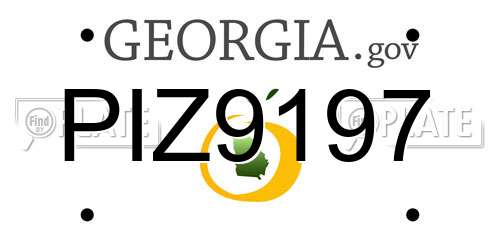 PIZ9197 Georgia License Plate