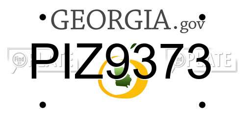 PIZ9373 Georgia License Plate