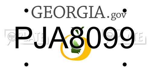 PJA8099 Georgia License Plate