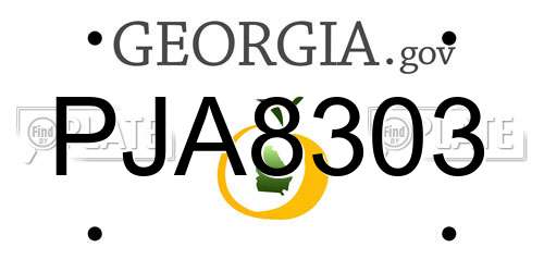 PJA8303 Georgia License Plate