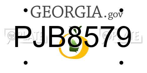 PJB8579 Georgia License Plate