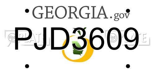 PJD3609 Georgia License Plate