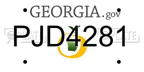 PJD4281 Georgia License Plate