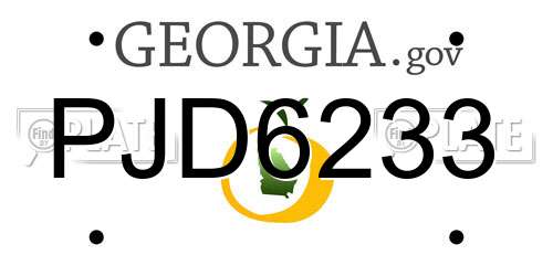 PJD6233 Georgia License Plate