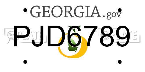 PJD6789 Georgia License Plate