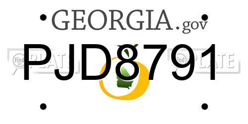 PJD8791 Georgia License Plate