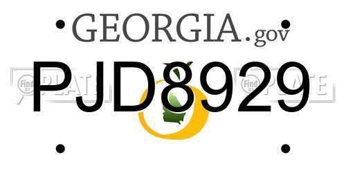PJD8929 Georgia License Plate
