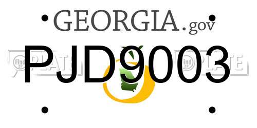 PJD9003 Georgia License Plate
