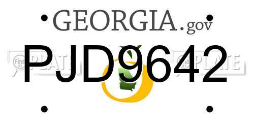PJD9642 Georgia License Plate