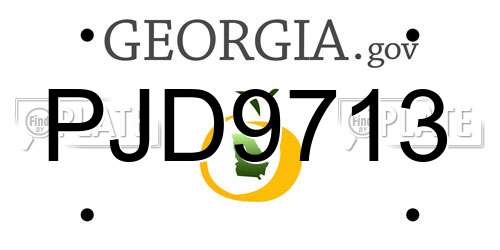 PJD9713 Georgia License Plate