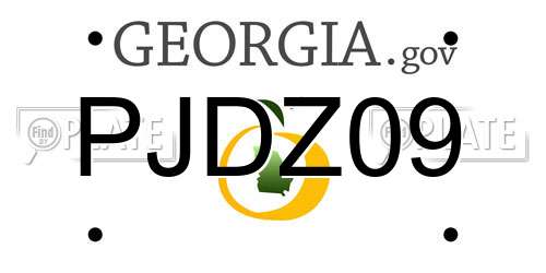 PJDZ09 Georgia License Plate