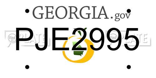 PJE2995 Georgia License Plate