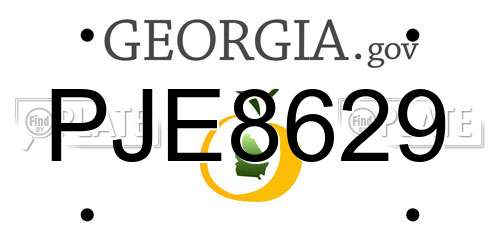 PJE8629 Georgia License Plate