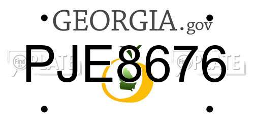 PJE8676 Georgia License Plate