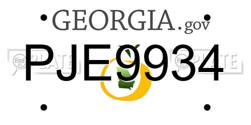 PJE9934 Georgia License Plate