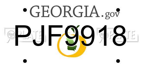 PJF9918 Georgia License Plate
