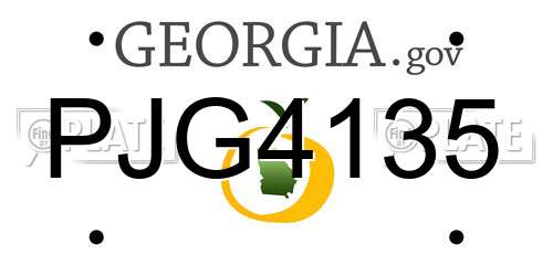 PJG4135 Georgia License Plate
