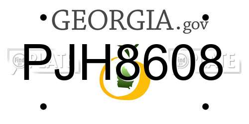 PJH8608 Georgia License Plate