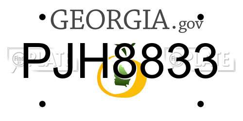 PJH8833 Georgia License Plate