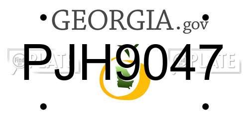 PJH9047 Georgia License Plate
