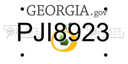 PJI8923 Georgia License Plate