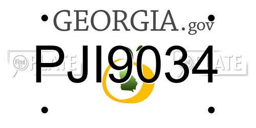 PJI9034 Georgia License Plate
