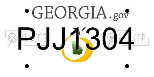 PJJ1304 Georgia License Plate