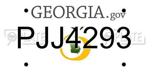 PJJ4293 Georgia License Plate