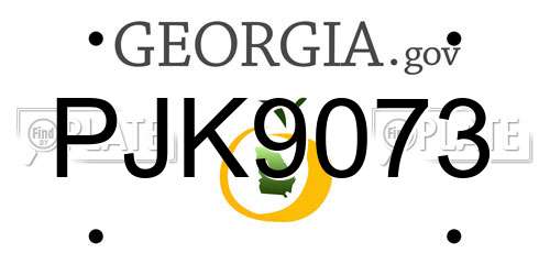 PJK9073 Georgia License Plate