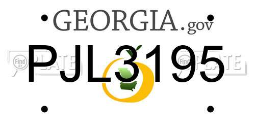 PJL3195 Georgia License Plate
