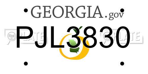 PJL3830 Georgia License Plate