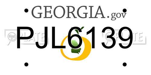 PJL6139 Georgia License Plate