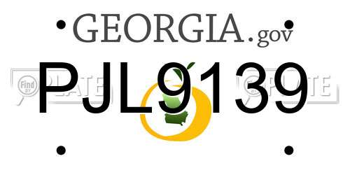 PJL9139 Georgia License Plate