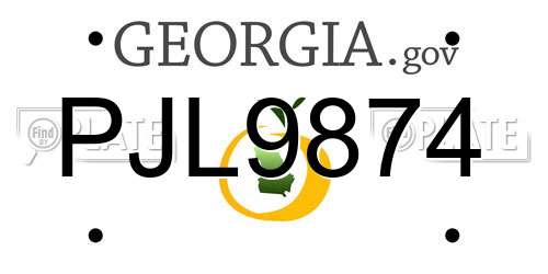 PJL9874 Georgia License Plate