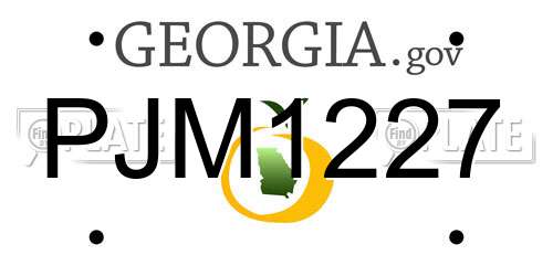PJM1227 Georgia License Plate