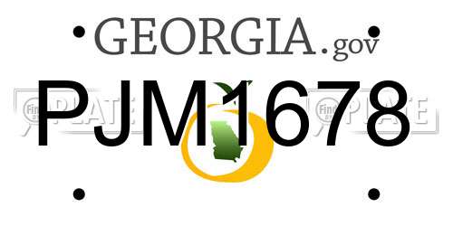 PJM1678 Georgia License Plate