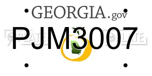 PJM3007 Georgia License Plate