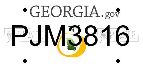 PJM3816 Georgia License Plate